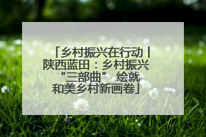 乡村振兴在行动丨陕西蓝田：乡村振兴 “三部曲” 绘就和美乡村新画卷