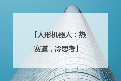 人形机器人：热赛道，冷思考