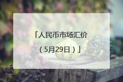 人民币市场汇价（5月29日）