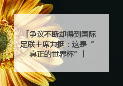 争议不断却得到国际足联主席力挺：这是“真正的世界杯”