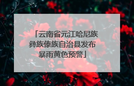 云南省元江哈尼族彝族傣族自治县发布暴雨黄色预警
