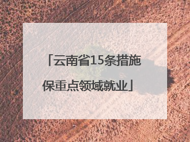 云南省15条措施保重点领域就业