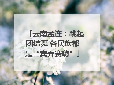 云南孟连：跳起团结舞 各民族都是“宾弄赛嗨”
