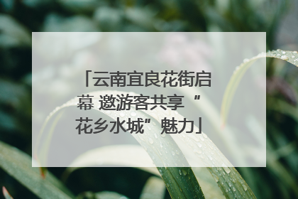 云南宜良花街启幕 邀游客共享“花乡水城”魅力
