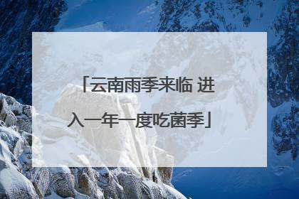 云南雨季来临 进入一年一度吃菌季
