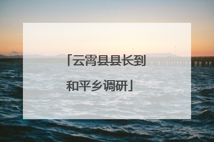 云霄县县长到和平乡调研