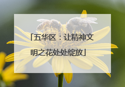 五华区：让精神文明之花处处绽放
