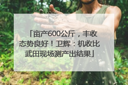亩产600公斤，丰收态势良好！卫辉：机收比武田现场测产出结果