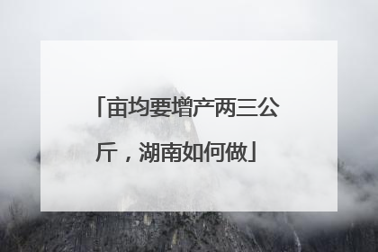 亩均要增产两三公斤，湖南如何做
