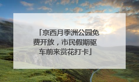 京西月季洲公园免费开放，市民假期驱车前来赏花打卡