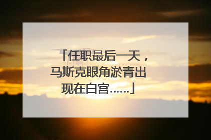 任职最后一天，马斯克眼角淤青出现在白宫……