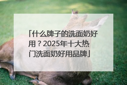 什么牌子的洗面奶好用？2025年十大热门洗面奶好用品牌