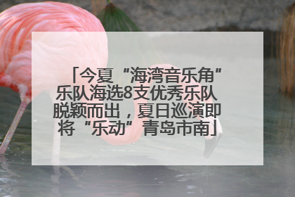 今夏“海湾音乐角”乐队海选8支优秀乐队脱颖而出，夏日巡演即将“乐动”青岛市南