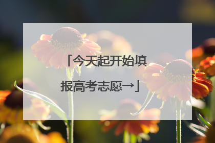 今天起开始填报高考志愿→