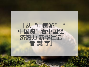 从“中国游”“中国购”看中国经济热力 新华社记者 樊 宇