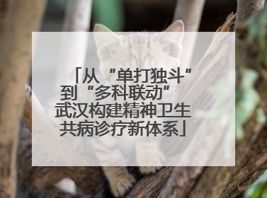 从“单打独斗”到“多科联动” 武汉构建精神卫生共病诊疗新体系