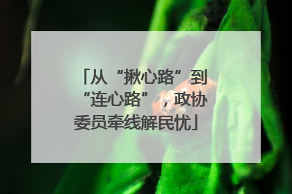 从“揪心路”到“连心路”，政协委员牵线解民忧