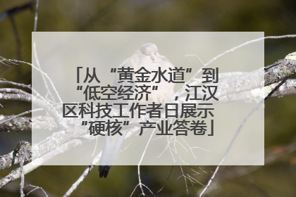 从“黄金水道”到“低空经济”，江汉区科技工作者日展示“硬核”产业答卷