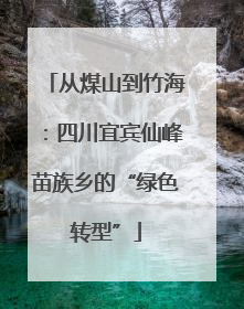 从煤山到竹海：四川宜宾仙峰苗族乡的“绿色转型”