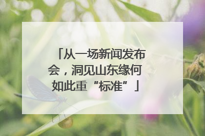 从一场新闻发布会，洞见山东缘何如此重“标准”