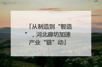 从制造到“智造”，河北廊坊加速产业“链”动