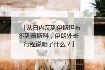 从日内瓦到伊斯坦布尔到莫斯科，伊朗外长行程说明了什么？