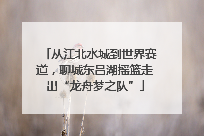 从江北水城到世界赛道，聊城东昌湖摇篮走出“龙舟梦之队”