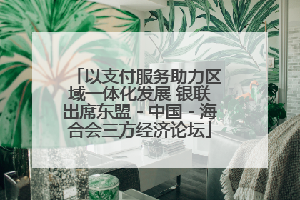以支付服务助力区域一体化发展 银联出席东盟－中国－海合会三方经济论坛