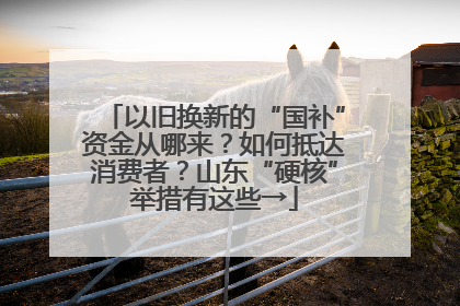 以旧换新的“国补”资金从哪来？如何抵达消费者？山东“硬核”举措有这些→