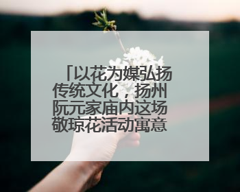 以花为媒弘扬传统文化，扬州阮元家庙内这场敬琼花活动寓意隽永