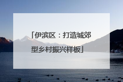 伊滨区：打造城郊型乡村振兴样板