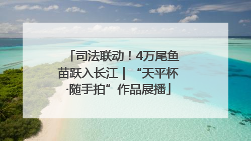 司法联动！4万尾鱼苗跃入长江｜“天平杯·随手拍”作品展播