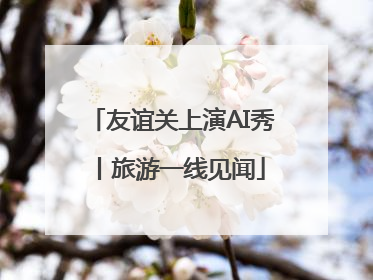 友谊关上演AI秀丨旅游一线见闻