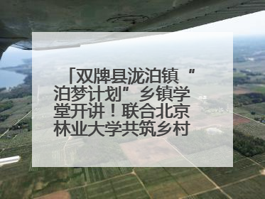 双牌县泷泊镇“泊梦计划”乡镇学堂开讲！联合北京林业大学共筑乡村教育新未来