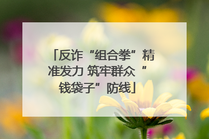 反诈“组合拳”精准发力 筑牢群众“钱袋子”防线