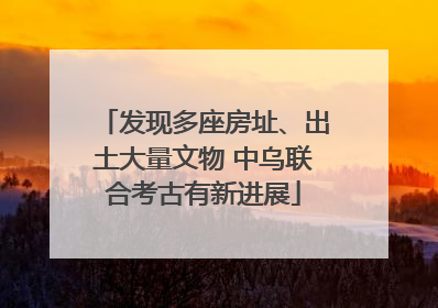 发现多座房址、出土大量文物 中乌联合考古有新进展