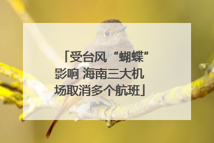 受台风“蝴蝶”影响 海南三大机场取消多个航班