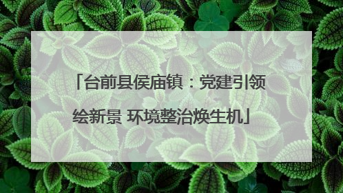 台前县侯庙镇：党建引领绘新景 环境整治焕生机