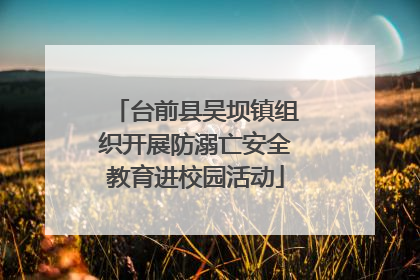 台前县吴坝镇组织开展防溺亡安全教育进校园活动