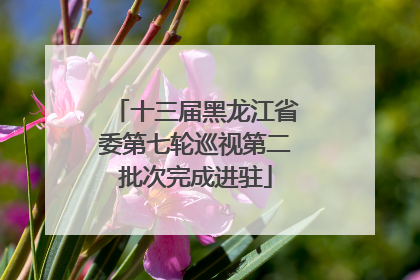 十三届黑龙江省委第七轮巡视第二批次完成进驻