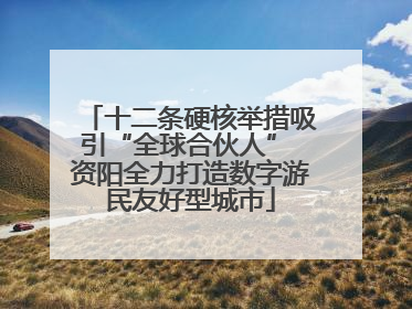 十二条硬核举措吸引“全球合伙人” 资阳全力打造数字游民友好型城市