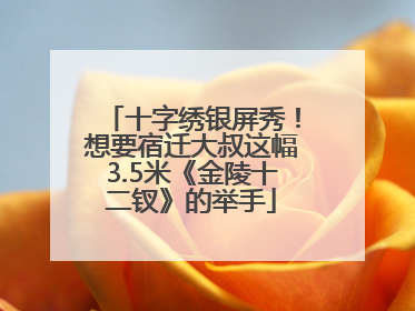 十字绣银屏秀！想要宿迁大叔这幅3.5米《金陵十二钗》的举手