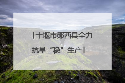 十堰市郧西县全力抗旱“稳”生产