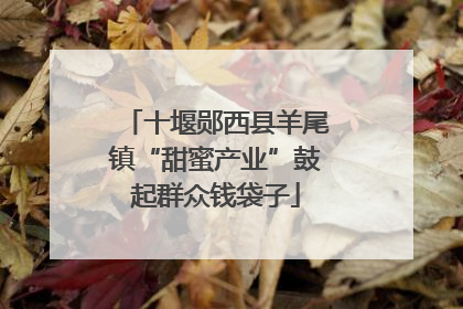 十堰郧西县羊尾镇“甜蜜产业”鼓起群众钱袋子
