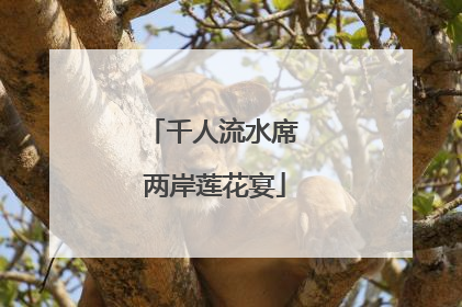 千人流水席 两岸莲花宴