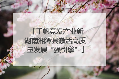 千帆竞发产业新 湖南湘潭县激活高质量发展“强引擎”