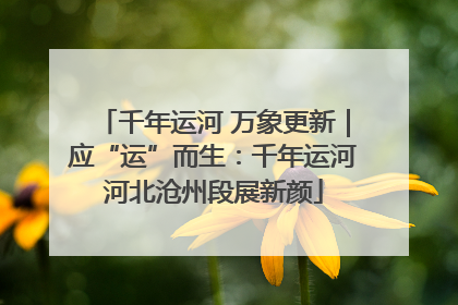 千年运河 万象更新｜应“运”而生：千年运河河北沧州段展新颜