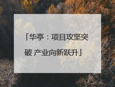 华亭：项目攻坚突破 产业向新跃升