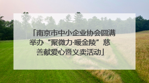 南京市中小企业协会圆满举办“聚微力·暖金陵”慈善献爱心暨义卖活动