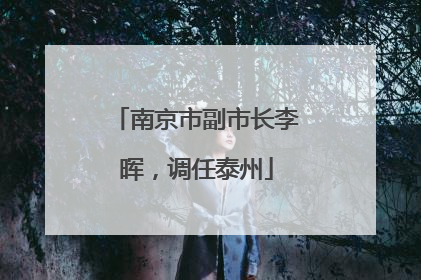 南京市副市长李晖，调任泰州